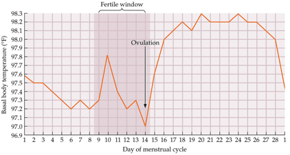 ovulation temperature tracking